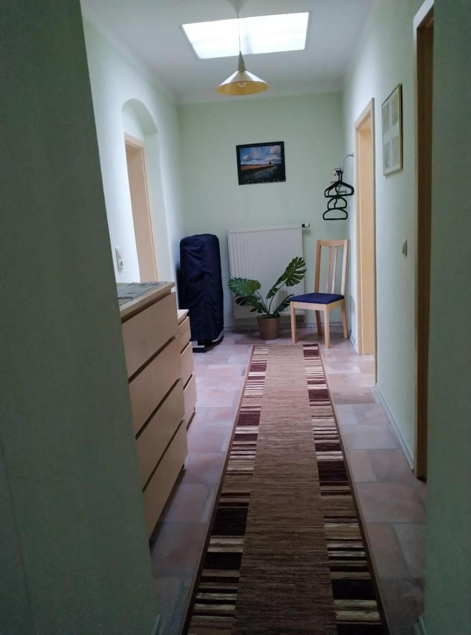 Ambiente-An-Der-Elbe-Wohnung-Og Dresden Exteriör bild